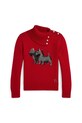 Παιδικό βαμβακερό πουλόβερ Polo Ralph Lauren μεσαίου πάχους κόκκινο 313978874001