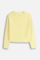 Coccodrillo sweter dziecięcy ZC5172101FGJ złoty AW25