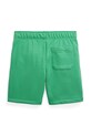 Шорти Polo Ralph Lauren 323971324001 зелений AW25