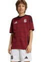 Дитячі шорти adidas Performance ACSP спорт білий IT4382