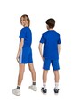 Детские хлопковые шорты adidas JY5017 голубой