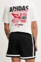 Odzież adidas Originals szorty Lifestyle Basketball JD5198 czarny