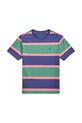 Бавовняна футболка Polo Ralph Lauren круглий виріз зелений 323971157001