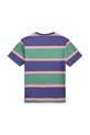 Бавовняна футболка Polo Ralph Lauren 323971157001 зелений AW25