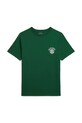 Μπλουζάκι Polo Ralph Lauren στάμπα πράσινο 323979452002