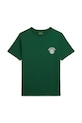 Футболка Polo Ralph Lauren хлопок зелёный 323979452002