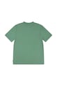 Levi's tricou copii STREAMLINE MONOGRAM TEE 8EP035 verde AW25