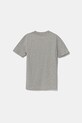 adidas Performance tricou de bumbac pentru copii MERCEDES JZ8913 gri AW25