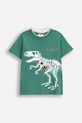 Coccodrillo t-shirt bawełniany dziecięcy nadruk zielony ZC5143201XBK