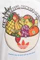 adidas Originals t-shirt bawełniany Graphic Lo Ss T JW2975 biały