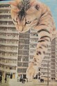 T-shirt bawełniany męski by Magda Kubiak - Dziki Las collages, Grafika Polska kolor czarny RS24.TSM466 czarny