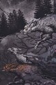 T-shirt bawełniany męski z domieszką elastanu z kolekcji Tatra Legends kolor czarny RS24.TSMA55