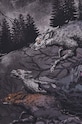 T-shirt bawełniany męski z kolekcji Tatra Legends kolor czarny RS24.TSMA55