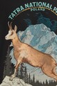 T-shirt bawełniany męski z kolekcji Tatrzański Park Narodowy x Medicine kolor czarny RS24.TSMA56