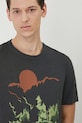 T-shirt bawełniany męski Twin Peaks kolor szary szary RS25.TSM675