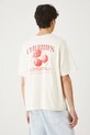 Odzież T-shirt bawełniany męski z nadrukiem kolor beżowy RS25.TSMB13 beżowy