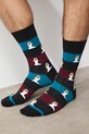 Skarpety męskie bawełniane z motywem zwierzęcym 2-pack RS26-LGM535 multicolor