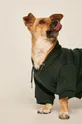 zielony Medicine - Bluza dla psa Amber Ambient