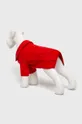 Medicine - Sweter dla psa Manifesto czerwony