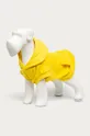 κίτρινο Medicine - Φούτερ σκύλου Midnight Queen Γυναικεία