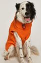 pomarańczowy Sweter dla pupila pomarańczowy Damski