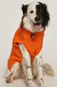 pomarańczowy Medicine - Sweter dla psa Midnight Queen Damski