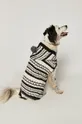 czarny Medicine - Sweter dla psa Glitch