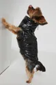 чёрный Medicine - Куртка для собаки Essential Женский