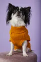 Medicine - Sweter dla psa Commercial 100 % Akryl