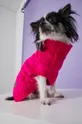 ροζ Medicine - Πουλόβερ σκύλου Commercial Γυναικεία