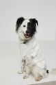 Medicine - Πουλόβερ σκύλου Commercial πολύχρωμο