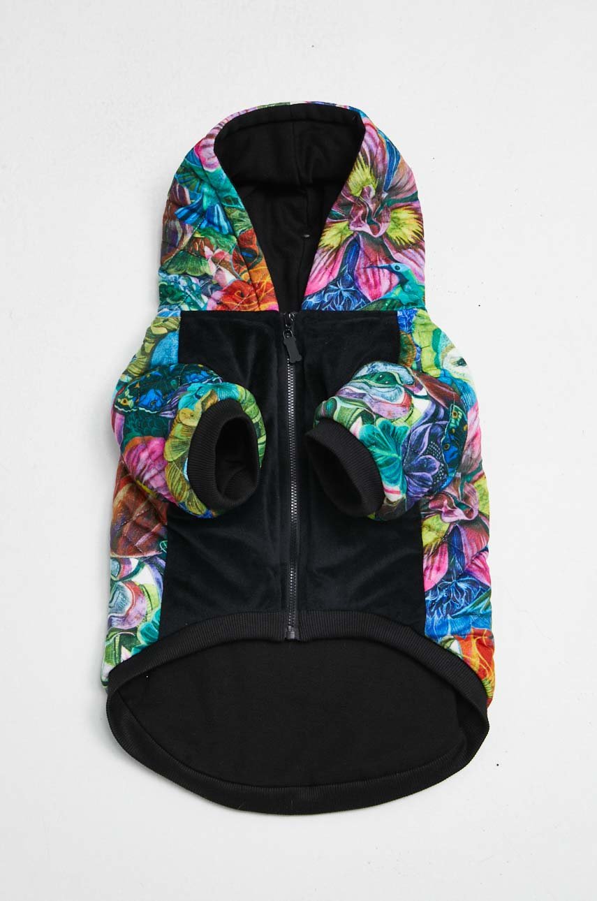 Bluza dla pupila by Olaf Hajek kolor multicolor