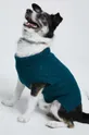 turchese Medicine maglione per animali domestici Unisex