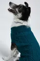 turchese Medicine maglione per animali domestici
