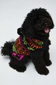 Sweter dla pupila wzorzysty kolor czarny czarny RW22.SWUA01