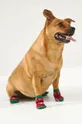 viacfarebná Ponožky pre psa Medicine Unisex