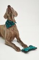 Zestaw dla pupila - mucha i bandana kolor zielony RW23.ANU908 zielony RW23