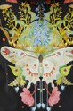 Bluza damska z nadrukiem kolor czarny RW23.BLD103