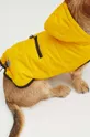 Куртка для собаки Medicine Жіночий