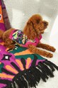 Akcesoria Sweter dla pupila wzorzysty RW23.SWU901 multicolor
