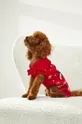 rdeča Pulover za hišnega ljubljenčka Medicine
