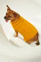 Medicine pulóver házi kedvencnek sárga