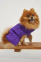 vijolična Pulover za hišnega ljubljenčka Medicine Ženski