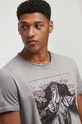 T-shirt bawełniany męski z kolekcji Zamkowe Legendy kolor szary RW23.TSM162 szary