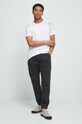T-shirt bawełniany męski z nadrukiem kolor biały RW23.TSM210 biały RW23