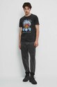 T-shirt bawełniany męski Metallica kolor szary RW23.TSM556 szary RW23