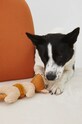 Medicine jucărie pentru un animal de companie RW24.ANU905