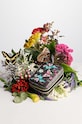 Medicine cutie de bijuterii multicolor RW24.DEU101