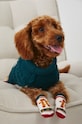 Sweter dla pupila z warkoczowym splotem kolor zielony RW24.SWU0A0 turkusowy RW24