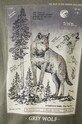 T-shirt bawełniany męski z kolekcji Together For Nature kolor zielony RW24.TSM705